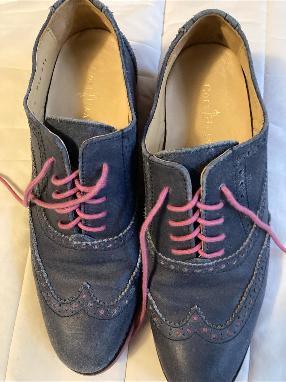 Cole Haan Navy Suede Wingtip Flats with Pink Laces